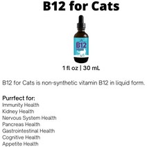 고양이영양제 Jackson Galaxy 고양이를 위한 B12 -식이 보조제 - 고양이의 면역 체계 신경계 소화 시스템 및 인지 기능의 건강을 지원합니다.