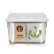 소금쟁이 관찰세트 자연과학 초등교과 수서곤충, 단품, 상세페이지 참조