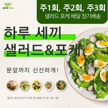 [삼시세끼] 빅 대용량 샐러드 포케 요거트 건강도시락 [ 샐러드포케 정기무료배송 ], 주1회 목, 수저포크 X, 1개