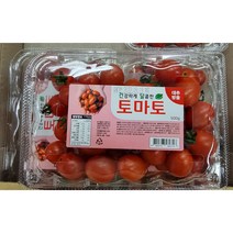 스테비아 토마토 토망고 방울토마토 허니마토 가정용 과일선물 고당도 프리미엄 과일, 스테비아 방울토마토 500g, 1개