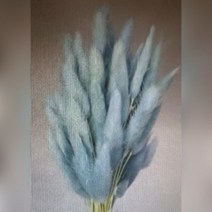뉴 프리저브드 수입꽃 강아지풀 ( 라그라스 60송이 하늘 중국 ) DIY꽃 인테리어 장식 말린꽃 프리저 풍성한다발 강아지풀