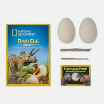 공룡 화석 발굴 키트 어린이 과학 실험 장난감 과학놀이 발굴키트 집중력