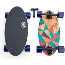 Summit Board Co Short Longboard Skateboard Deck with Precision Bearings and Rugged Wheels for, 프리즘