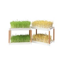 콩나물 재배기 텃밭 자동 시루 종자 흙없이 수경기, 수경기-  2단 + 녹두씨앗 2팩