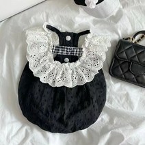 자칠 애견 공주풍 레이스 원피스 고양이 여름 스커트 애견 테디비 곰보미 소형 강아지 옷