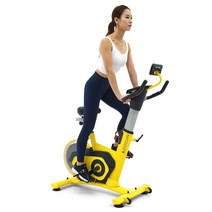 스핀바이크 SP320 옐로우 스피닝 실내자전거 헬스, 단품