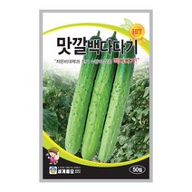 모칸도 세계 맛깔백다다기 오이씨앗 50립
