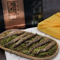 야생더덕 더덕 더덕구이 더덕효능 산더덕 야생더덕 자연산더덕 더덕차 깐더덕 더덕의효능 겨울더덕 더덕요리 더덕주스 더덕주 더덕무침 더덕즙효능 몸을따뜻하게하는 300g 9~12뿌리, 3box