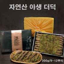 야생더덕 자연산 산더덕 겨울더덕 사삼 더덕주 사포닌 선물세트 자연산더덕 선물, 1세트, 300g
