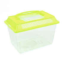 곤충 채집통 사육통 중형 투명 플라스틱 손잡이