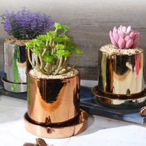 [사라익스프레스]세라믹 화분 금색, 실버