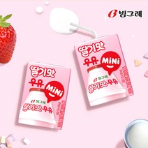 [빙그레] 딸기맛 우유 미니 120ml 24팩 48팩 / 멸균우유
