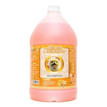 푸들 포메 모발보호 대용량 4L 애견 고급 샴푸 저자극, 1개