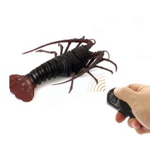 남아 가재 무선조정 RC 작동동물 초등학생 조카선물 장난감 아동완구 8살남자아이 rc