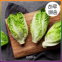 [온도씨] [하루배송]가락시장 통로메인 300g, 상세 설명 참조