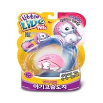 [미미월드] 베이비펫 아기고슴도치 프린세스도치
