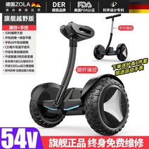 전동휠 두발전동휠 투휠 셀프밸런스 이륜 오프로드 평행차 전동킥보드, 36V, 54V 오프로드 쓰리 컨트롤  오프로드 휠 15