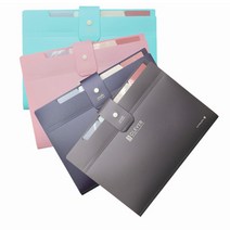 클레버 5분류 도큐먼트 간편 화일 인덱스 아코디언 파일 시험지 유인물 과제 주제별 나눔 정리 분리 보관, 핑크(사은품증정)