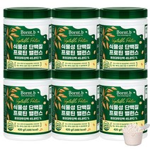 본트비 맛있는 식물성 단백질 프로틴 밸런스, 6통, 420g