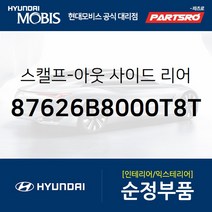 싼타페DM 더프라임 순정 사이드미러 커버(백미러 스캘프) 우측(플래티늄실버) (87626B8000T8T)