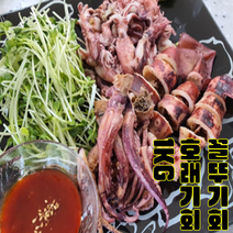 꼴뚜기회 1KG 라면 숙회 무침 볶음용