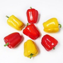 파프리카 2kg 국산 노란 빨간 못난이 파프리카 진맛깔