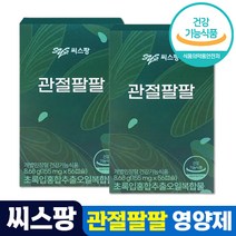 차승원 관절건강 씨스팡 관절팔팔 초록입홍합오일 캡슐 식약처 인증 친환경 그린 푸른 녹색 초록 초롱 잎 입 홍합 초롱이 시스팡 씨스팜 관절 무릎 연골 88 홈쇼핑 방송 광고, 5개, 56캡슐