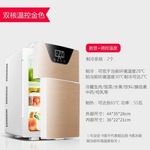 냉동고 미니 소형 냉동고20L 주방 냉장고 듀얼 도어 전기 가정용 렌탈 Frigobar 사용 냉간, 04 Dual core silver, 04 Dual core silver