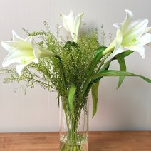 우리타워 백합 꽃구독 생화택배, 백합 5대