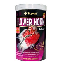 플라워혼 워터독 전용 먹이 사료 1000ml 스워드테일
