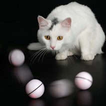 하우롱디자인 켓 토이 크레이지 볼 고양이 자동장난감, 화이트