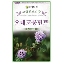 캣닙 1g - 캣닢 개박하 돌박하 고양이풀 허브 허브씨 허브씨앗 씨 씨앗 캣닢씨앗 캣닙씨앗 꽃씨 꽃씨앗 다년생 여러해살이 Catnip, 14_다농_오데코롱민트(1g)