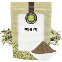 민들레 분말 가루 300g 국산 국내산, 1개, 단품