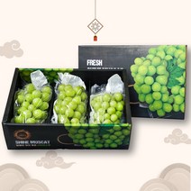 선물용 샤인머스켓 씨없는포도 망고포도 선물세트 산지직송 프리미엄 특상품 샤인머스캣, 특상품 프리미엄 3수 2kg(선물포장)