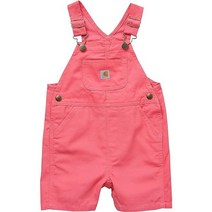 Carhartt 칼하트남여공용Baby 루즈Fit 캔버스 숏all
