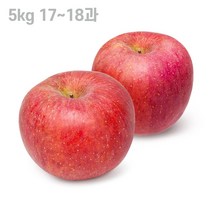 고당도 껍질째먹는사과 제수용 사과선물 5kg 1718과