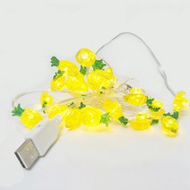 건전지&USB겸용 캐릭터 감성 캠핑 줄조명 와이어 전구 파티 용품 할로윈, LED 캐릭터 전구 파인애플 20p(+AA건전지 4개)