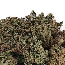 동의한재 자연산 국산 햇 권백 바위손 부처손 500g, 단품