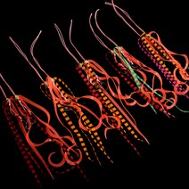 MZT 모짜르트 타이라바 스커트 훅세트 참돔 유동식 실리콘 1개입 2개입, B-03 레드/오렌지