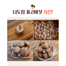 가지버섯 가성비 좋은 제품 중 알뜰하게 구매할 수 있는 판매량 1위 상품