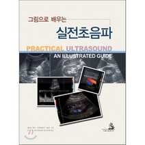 [대한의학서적]그림으로 배우는 실전초음파_JANE ALTY_2010, 대한의학서적, Alty, Jane/ Hoey, Edward/ Wolstenhulme, Stephen (COL)/ Weston, Michael (COL)