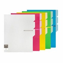 포켓화일 청운 칼라칩 3섹션 홀더 A4 2개 MO, 단품