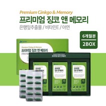 두뇌 뇌 기능 잦은 깜빡거림 기억력 집중력 저하 감퇴 머리 혈액 회전 순환 개선 향상 에 좋은 먹는 징코 메모리 영양제, 2BOX(6개월분)