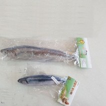 고양이 장난감 꽁치(20cm), 5개