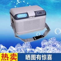 백신냉장고 백신전용냉장고 간냉식냉장고 24V12L 양냉장고 미니 냉장고 인슐린냉장고, 02 쿼드 결합