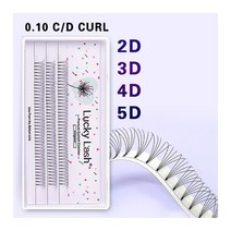 럭키 래쉬 프리미엄 0.10 D 컬 2D/ 3D/4D/5D 속눈썹 연장 실크 소프트 퍼메이드 팬 실크 인조 밍크 개별 실, D_0.10mm | 11mm | 5D
