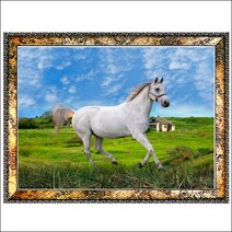 B288-3/말사진액자/풍경사진/인테리어소품/말그림