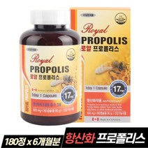 캐나다산 프로폴리스 환절기 항산화 면역력 영양제 6개월분 로얄 플로폴리스 중장년 구강항균 면역력높이는 보조제 효과 효능 활성산소 유해산소 억제 플라보노이드 포리폴리스 약 x, 180정 X 1개  6개월분, 180정