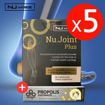 뉴와이즈 뉴 조인트 플러스 (초록입홍합 ) 90캡슐 5개