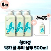[CHUNGMIJUNG] 청미정 박하 쿨 샴푸 지성용 열감쿨링진정 본품 500ml, 4개, 500g